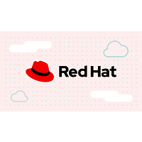 RED HAT Red Hat Enterprise Linux for POWER BE w 2889413
