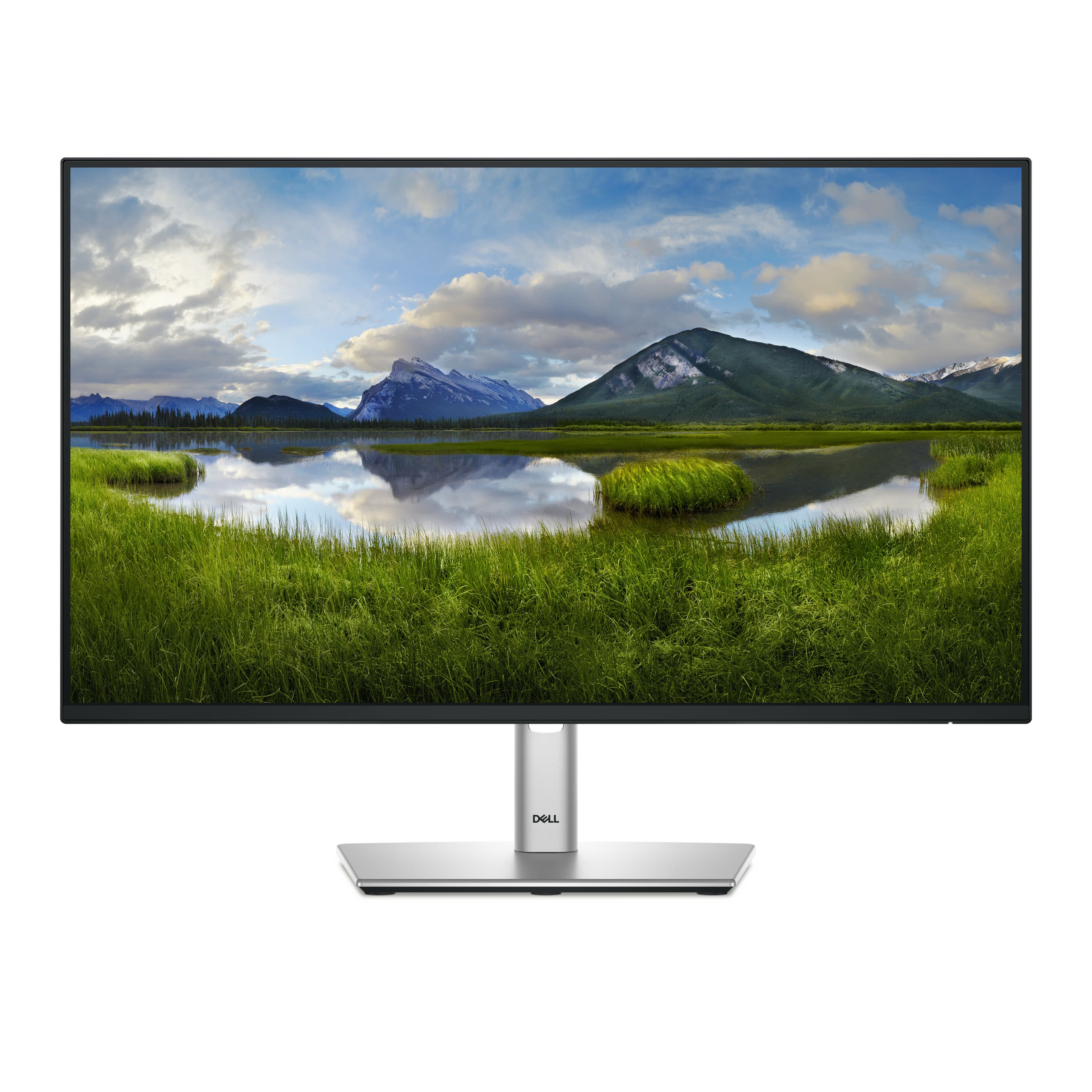 DELL DELL MONITOR P2425HE 6224553
