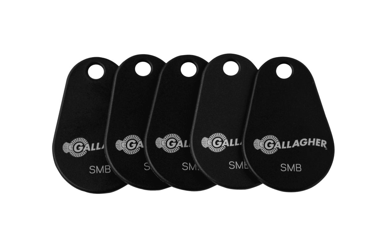Gallagher Gallagher SMB Key Tags X10 (White) SMB-KEY-TAGS-X10-WHITE
