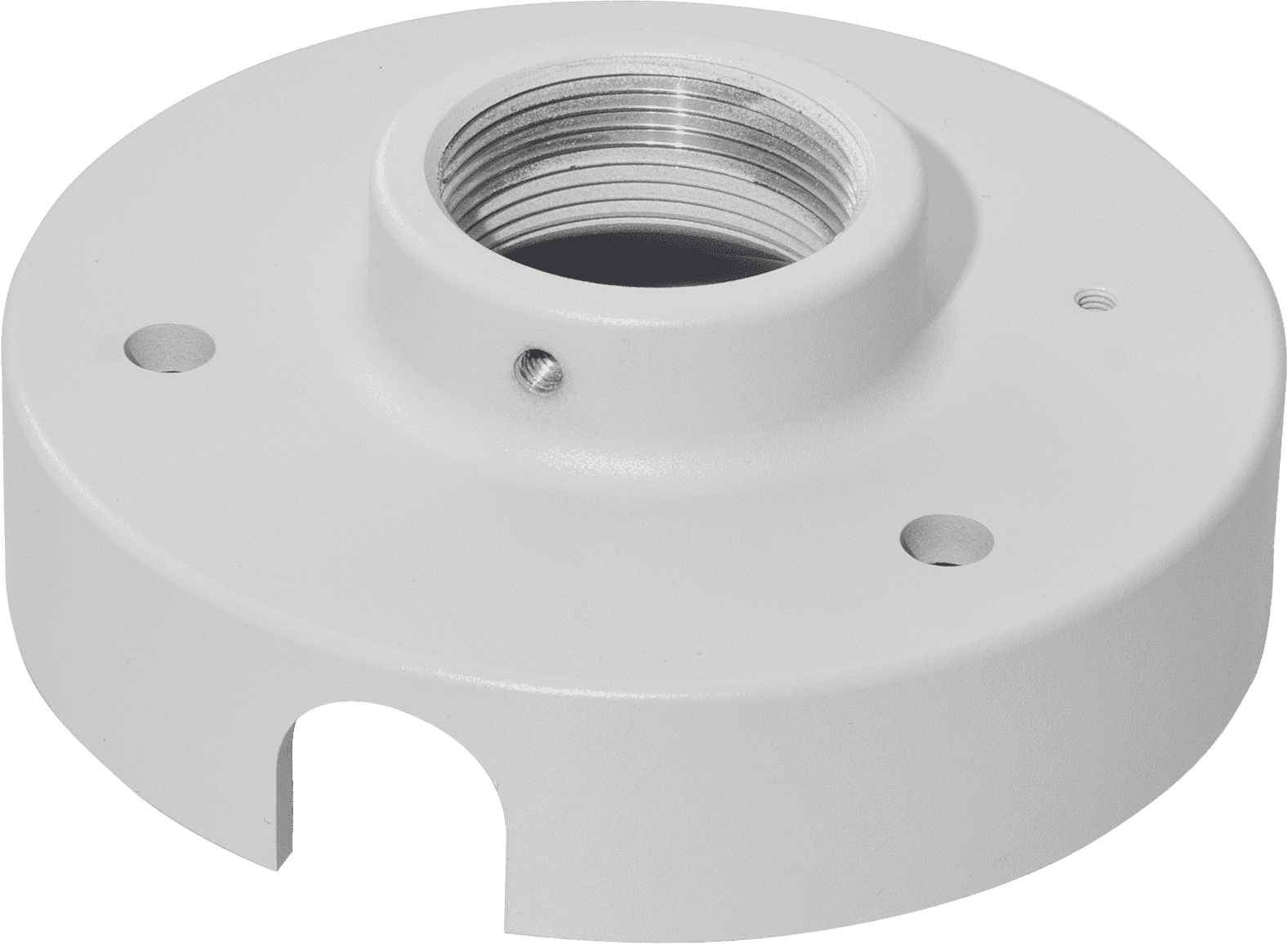Vivotek Pendant Head (Indoor) AM-118