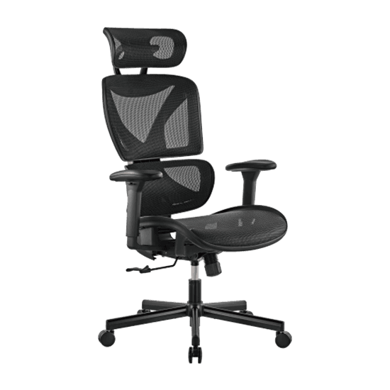 Brateck BRATECK SpineX Ergonomic Office Chair with Posture Enhancement. CH05-31