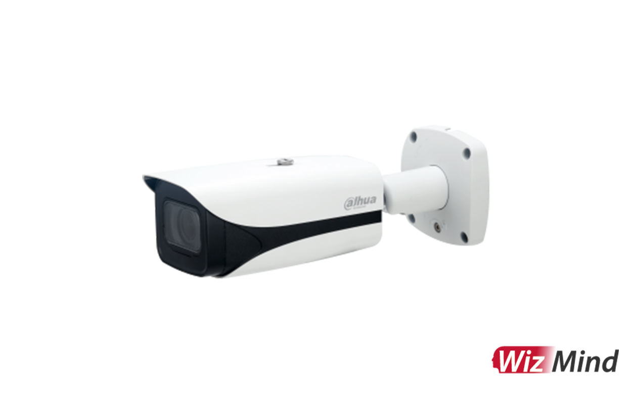 Dahua IP Cameras